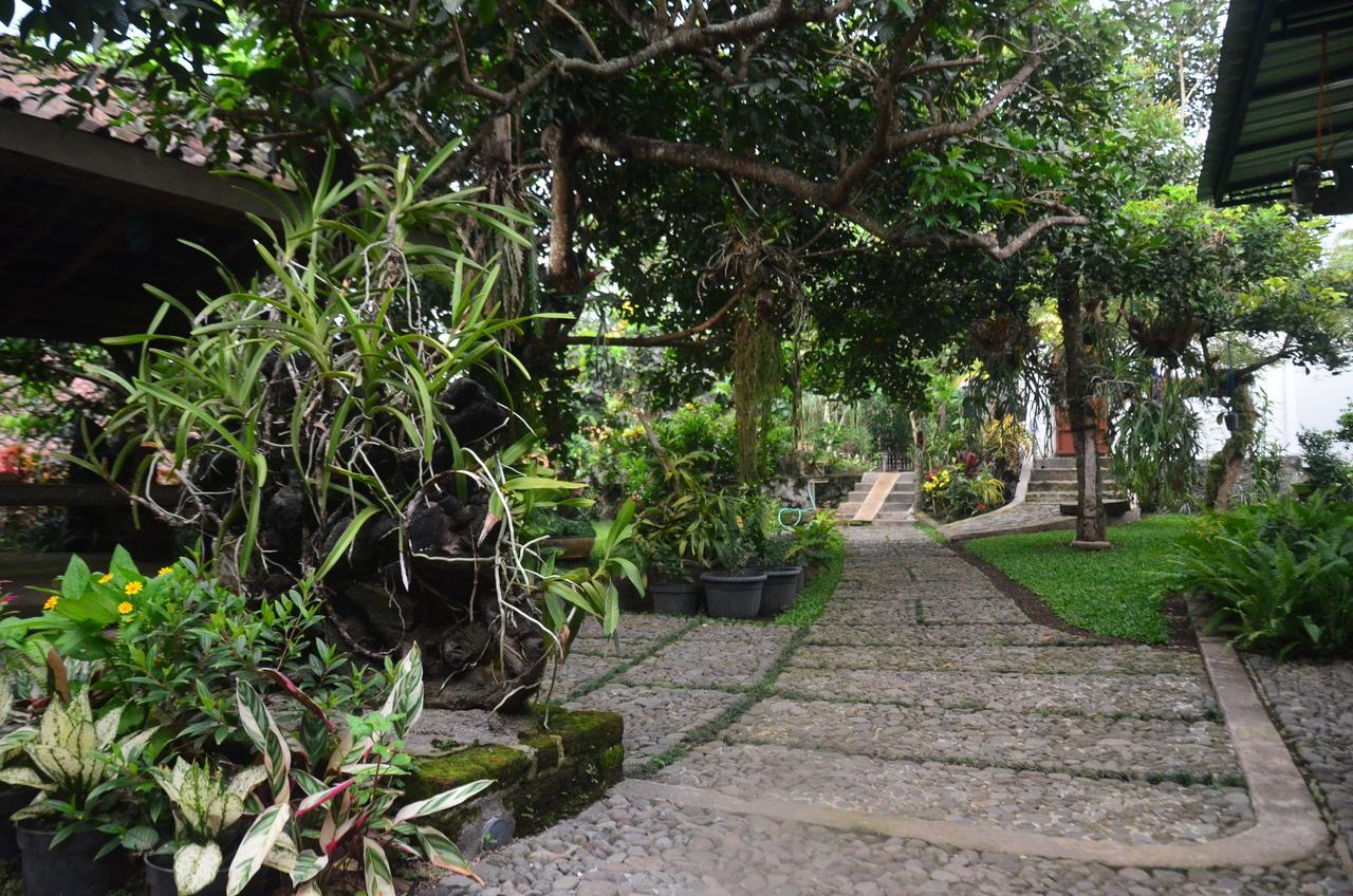 Banyu Homestay บันยูวังงี ภายนอก รูปภาพ