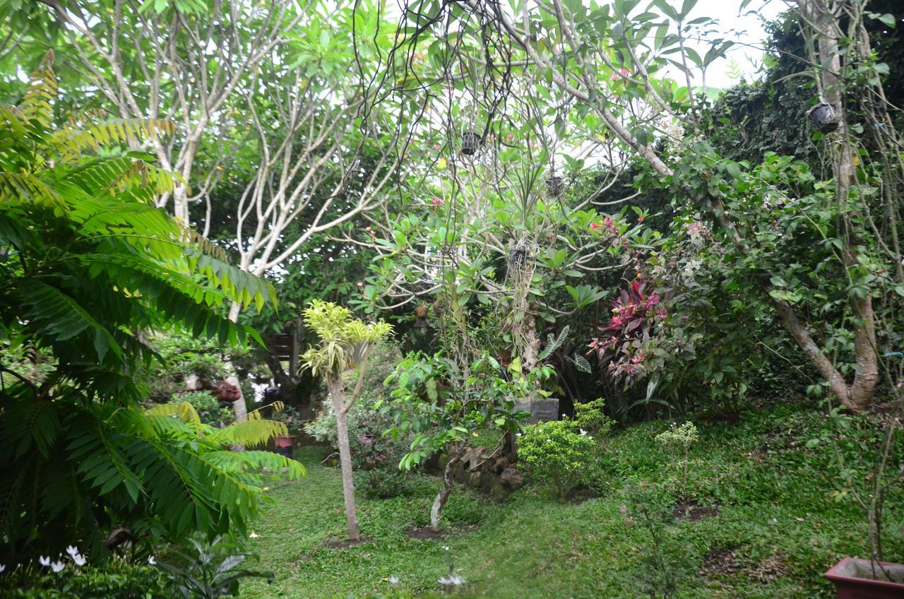 Banyu Homestay บันยูวังงี ภายนอก รูปภาพ
