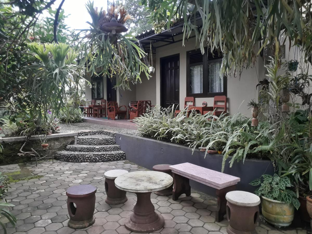Banyu Homestay บันยูวังงี ภายนอก รูปภาพ