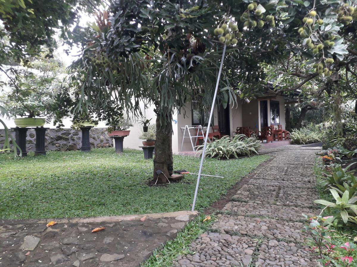 Banyu Homestay บันยูวังงี ภายนอก รูปภาพ