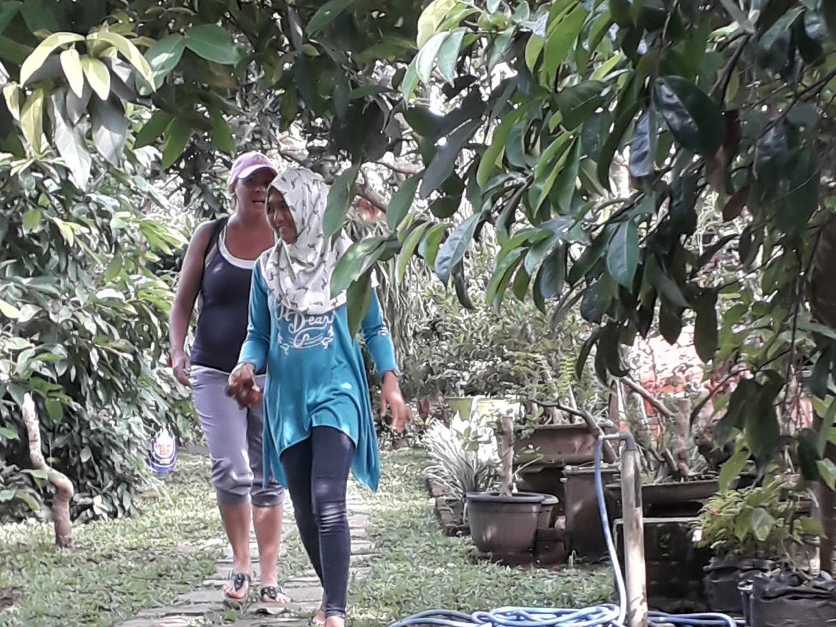 Banyu Homestay บันยูวังงี ภายนอก รูปภาพ