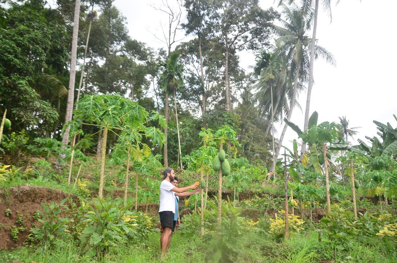 Banyu Homestay บันยูวังงี ภายนอก รูปภาพ