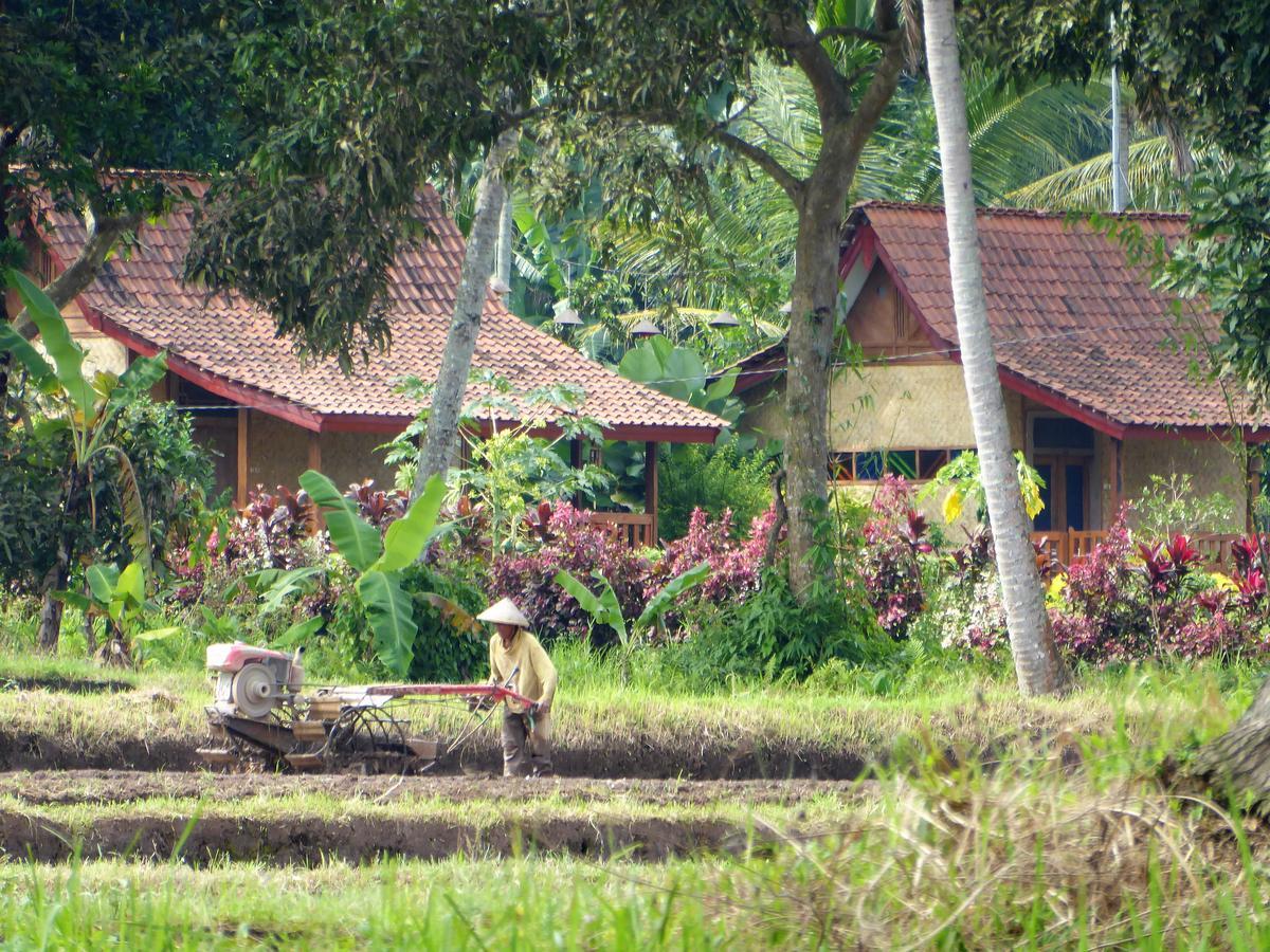 Banyu Homestay บันยูวังงี ภายนอก รูปภาพ