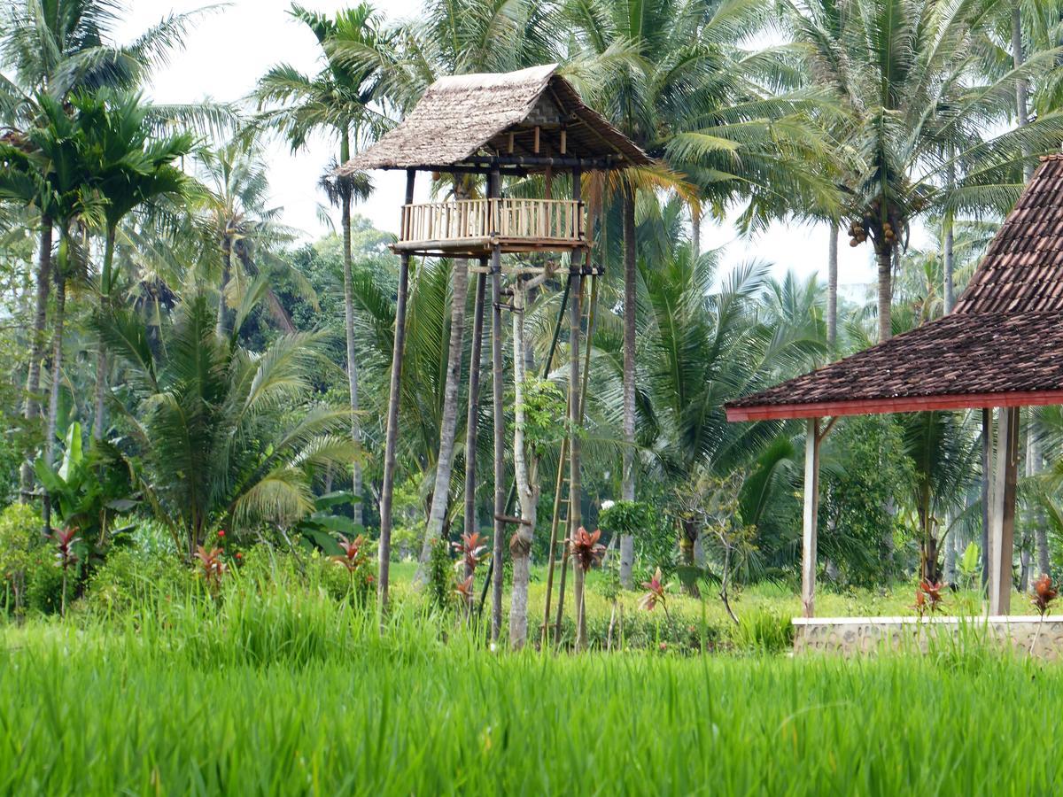Banyu Homestay บันยูวังงี ภายนอก รูปภาพ